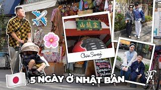 5 Ngày Tại Nhật Bản  Ngắm Hoa Anh Đào Shopping Ăn Uống Đi Chùa Sensoji … [upl. by Ruffo199]