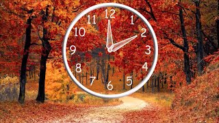 Time Change Sunday November 3 2024 Its time to Fall Back [upl. by Duane]