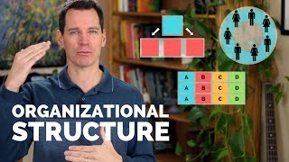 Organizational Structure [upl. by Aiyram]