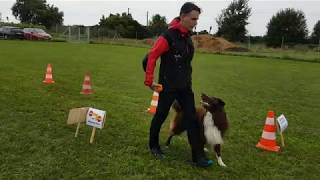 Rally Obedience Beginners  Training 19082017 [upl. by Boulanger]