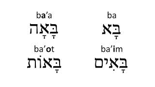 Beginner Hebrew  Lesson 9  PAAL verbs like LAGUR in the present tense [upl. by Rayner]