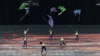 Wiregrass Ranch HS Winterguard 2024 [upl. by Adnilahs]