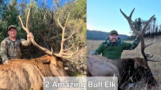 2024 New Mexico Elk Hunt Wheaton Creek Ranch [upl. by Lourdes]