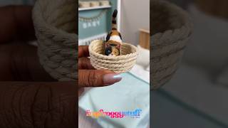 How To Make A Cat Bed  When you buy too much macramé cord  Mini Basket 2 ￼ [upl. by Suirauqram369]