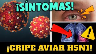 ¡IMPORTANTE CIENTÍFICOS REVELAN SÍNTOMAS DE GRIPE AVIAR H5N1 ¿PRÓXIMA PANDEMIA [upl. by Arik]