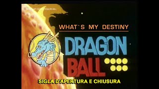 Sigla dapertura e chiusura Dragon Ball Z  Whats my destiny Dragon Ball [upl. by Renzo]