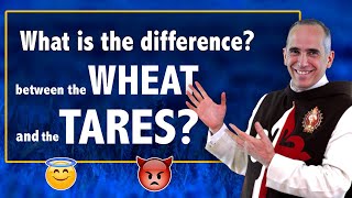 What is the difference between the wheat and the tares in the Bible [upl. by Anitahs]