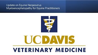 Update on Equine Herpesvirus Myeloencephalopathy for Equine Practitioners [upl. by Lede]