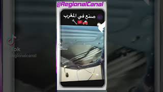 تيسلا صنع في المغرب 😳😳  fypシ゚ فكاهة foryou fyp moroccoالمغاربة🇲🇦 ❤️ [upl. by Eniamahs]