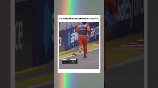 F1 Lizard Run 🤣 F1 formula1 lizard run timer meme [upl. by Pangaro930]