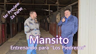 Mansito  Trainer de quotCuadra Piedrerosquot [upl. by Doro398]