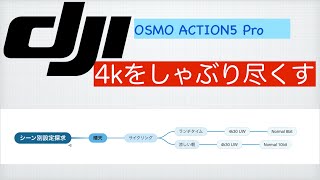 dji osmo Action5 評価中 8\10ビットの違い [upl. by Romalda]