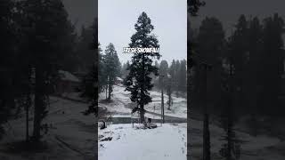 Kashmir freshsnowfall kashmir kashmiribeauty natureshowreels kashmirviews shareviral [upl. by Talanta]