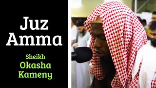 Sh Okasha Kameny  Juzz Amma  AdDoori an AlKisaee الدوري عن الكسائي [upl. by Moia]