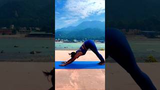 Effective full body workout II Hanuman dand Asanas badshah bollywood remix honeysingh [upl. by Hnid44]