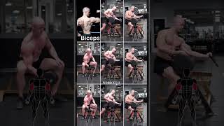 Best Biceps exercises [upl. by Peg138]