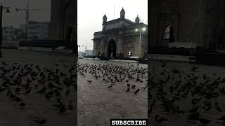 GATE WAY OF INDIA foryou duet trending fun viralvideo shorts youtube [upl. by Diana]