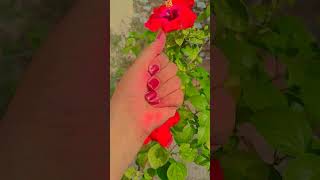 Mera Dil bhi Kitna pagal hai handmoves shortvideo song love [upl. by Trinee]