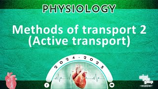 Revision of Tut 2 Methods of transport 2  active transport  Physiology [upl. by Bander806]