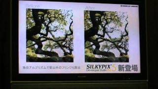 CP2011：市川ソフトラボラトリー「SILKYPIX Developer Studio Pro5」紹介 [upl. by Jalbert]