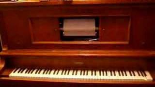 Maple Leaf Rag on my Player Piano [upl. by Valdas]