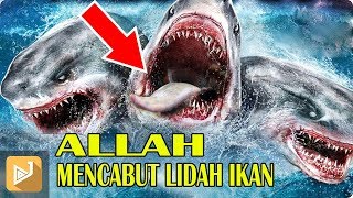 SEJARAH AWAL quotALLAH quot MENCABUT LIDAH IKAN  Menurut Islam [upl. by Ellerrad]