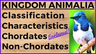 Animal Kingdom Basis of Classification Chordate and NonChordate Structural Organization in Animals [upl. by Nylodam]