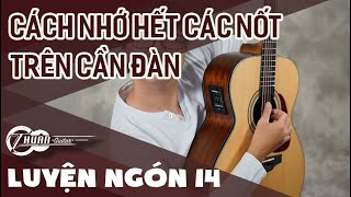 GUITAR CƠ BẢN LUYỆN NGÓN BÀI 14  CÁCH NHỚ  MẸO THUỘC TẤT CẢ CÁC NỐT TRÊN GUITAR [upl. by Elleinod]