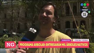 Programa arbolar Entregarán mil árboles nativos  Telefe Rosario [upl. by Zabrine]