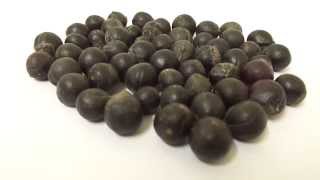 Sapindus laurifolius Seeds  India Soapnut [upl. by Ruthy]