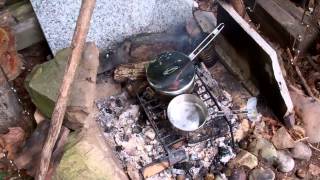 Cooking wild spinach lambsquarters goosefoot fat hen or pigweed [upl. by Eldnar487]