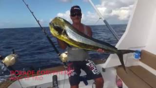 PÊCHE AU GROS ÎLE MAURICE DORADE CORYPHÈNE AVEC LE TRIO [upl. by Hullda]