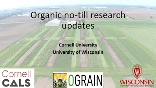 Organic No Till Research Update r [upl. by Auqenahs]