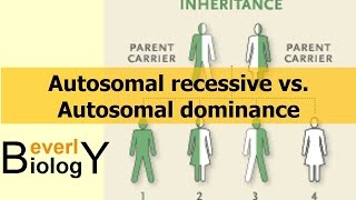 Autosomal Recessive vs Autosomal Dominance [upl. by Primaveras]