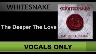 Whitesnake  The Deeper The Love Vocals Only  Acapella [upl. by Arel672]