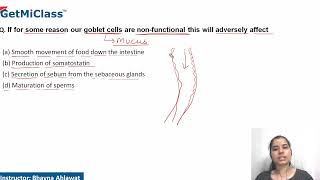 Goblet cells [upl. by Ellehcem]