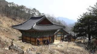 한국기행  Korea travel소양강 2부 강물이 품은 산001 [upl. by Falconer]