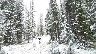 First Snow Berthoud Pass 9222024 [upl. by Ayotak]