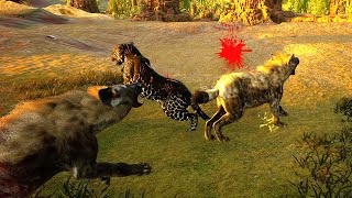 The Life of a Hyena  Animalia Survival [upl. by Eob]