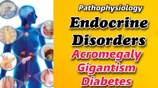 The pathophysiology of ENDOCRINE SYSTEM  Acromagaly amp Giganstism Diabetes type I amp type II  Tutor [upl. by Heyra]