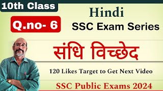 10th Class Hindi Question 6  SSC 2024 Exams  Sandhi Vicched  PDNS Hindi [upl. by Annaili]