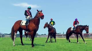 Phar Lap horse racing challenge episode 6 [upl. by Humbert]