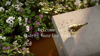 Godrej  Sunrise Estate  Oragadam Chennai  Estates61 [upl. by Rog]