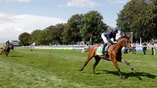 What a performance CITY OF TROY hot favourite for Guineas and Derby after Newmarket romp [upl. by Trudy]