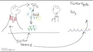 Sulfur Cycle Video [upl. by Anelliw682]