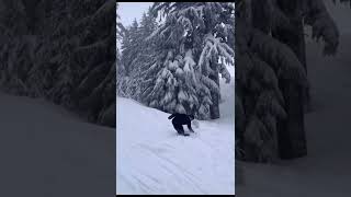 Collecting SkiersSnowboarders 371000🏂⛷️ski skiheaven skiing snowboarding viralvideo [upl. by Olshausen]