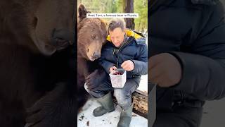 A bear cub was rescued and then became a long life companion shorts [upl. by Kerekes]