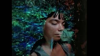 Björk  Hyperballad  Official 4K Music Video Radio Edit [upl. by Huston]