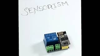 Esp relay switch explained [upl. by Cormack]