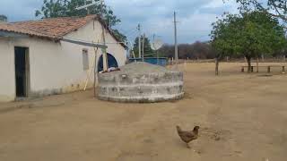 fazenda papagaio casa do seu Alberto Licínio de Almeida [upl. by Tiphany]